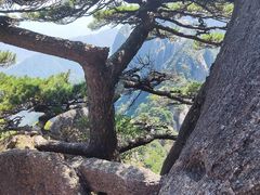 -黄山风景区