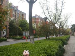 -天秀花园古月园