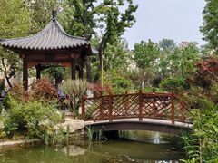 -山东省千佛山医院