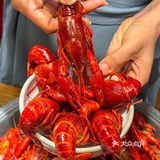 人生建议：一定要带朋友来吃这家的烧烤小龙虾