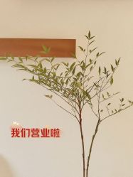 -FUMEIHUI·科技美肤·美体SPA