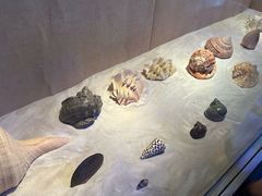 -广东省博物馆