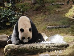 -香港海洋公园