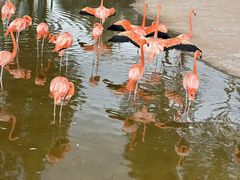 -鄂尔多斯野生动物园