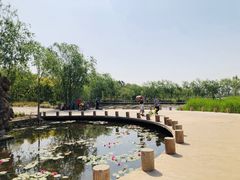 -绿堤公园