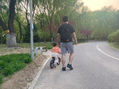 -永定河休闲森林公园