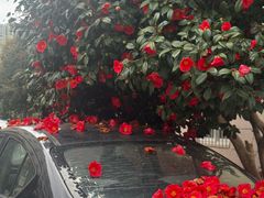 -宁波儿童公园(鄞州区)