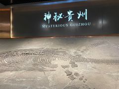 -贵州省地质博物馆