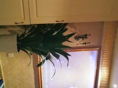 -都悦君豪足浴推拿(华府大道店)