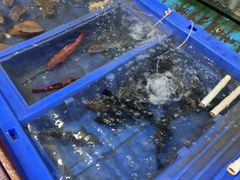 -蓝湾碧波·老字号·疍家非遗海上餐厅