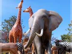 -济南野生动物世界