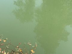 -东湖落雁景区