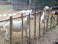 024-鸿华度假酒店