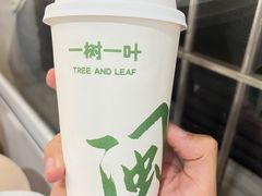 -一树一叶·福建茶档(石鼓路店)
