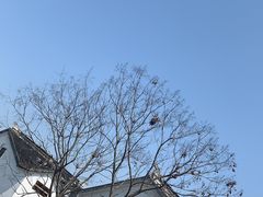 -湾里人家(旺山景区店)