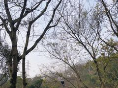 -重庆园博园