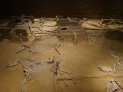 -洛阳周王城天子驾六博物馆