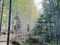 -黄公望隐居地