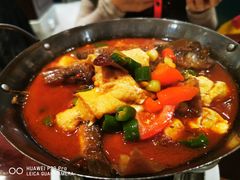 -金龙寨(解西店)