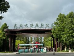 -黄海国家森林公园