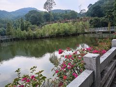 -广州市帽峰山景区