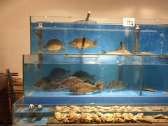 水产区-六顺园清真回族饭店(工程街店)