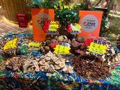 -老滇山寨•云南特色菜•地方菜•民族风情歌舞表演(金碧店)