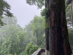 -莫干山风景区