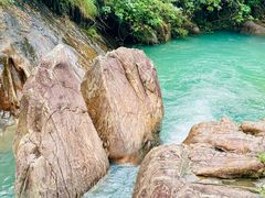 -广州白江湖森林公园