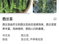 -洛缦音乐餐厅(工业展览馆万象城店)