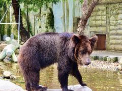 -灵玲国际马戏城