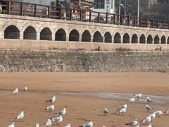 -青岛第一海水浴场