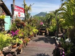 -自然餐厅(Phuket)