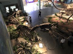 -自贡恐龙博物馆