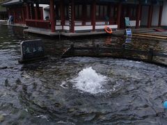 -百脉泉景区