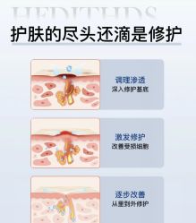 -玛莲朵·海菲秀冰珀科