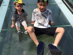 -梦幻奥陶纪景区