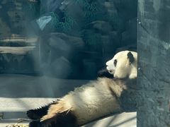 -鄂尔多斯野生动物园