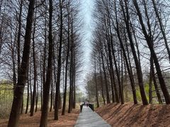 -苏州太湖国家湿地公园