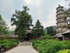 -晋祠公园