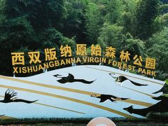 -西双版纳原始森林公园
