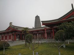 -法门文化景区