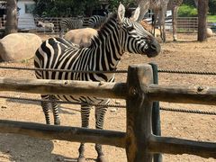 -大连森林动物园