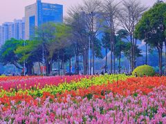 -海心沙亚运公园