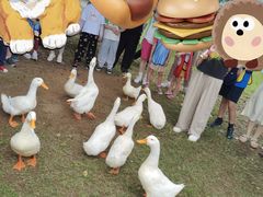 -Club Med地中海俱乐部·桂林度假村
