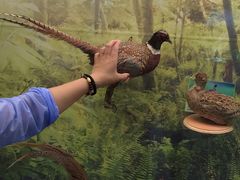 -下渚湖国家湿地公园科普馆