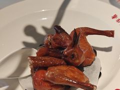 -谭厨中山传家菜.乳鸽.脆鲩鱼(华强北中航城店)