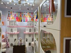 -青奢宠物·青奢猫舍