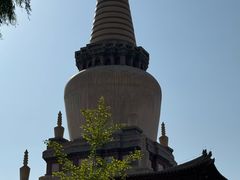 -张掖大佛寺景区