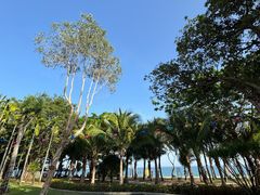 -三亚海棠湾万丽度假酒店